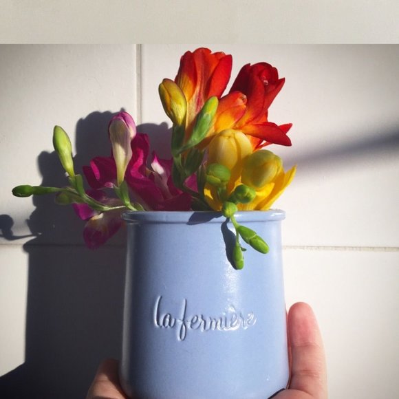 La Fermiére French Glazed Terracotta Pots set of 6 - Picture 5 of 14